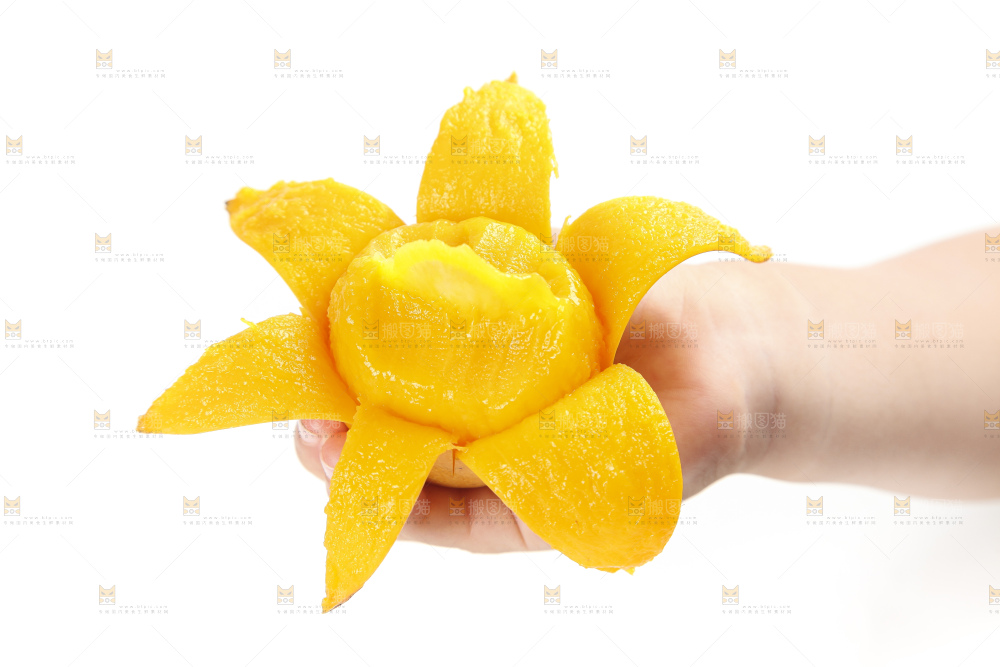 手里拿着小台农芒果肉
