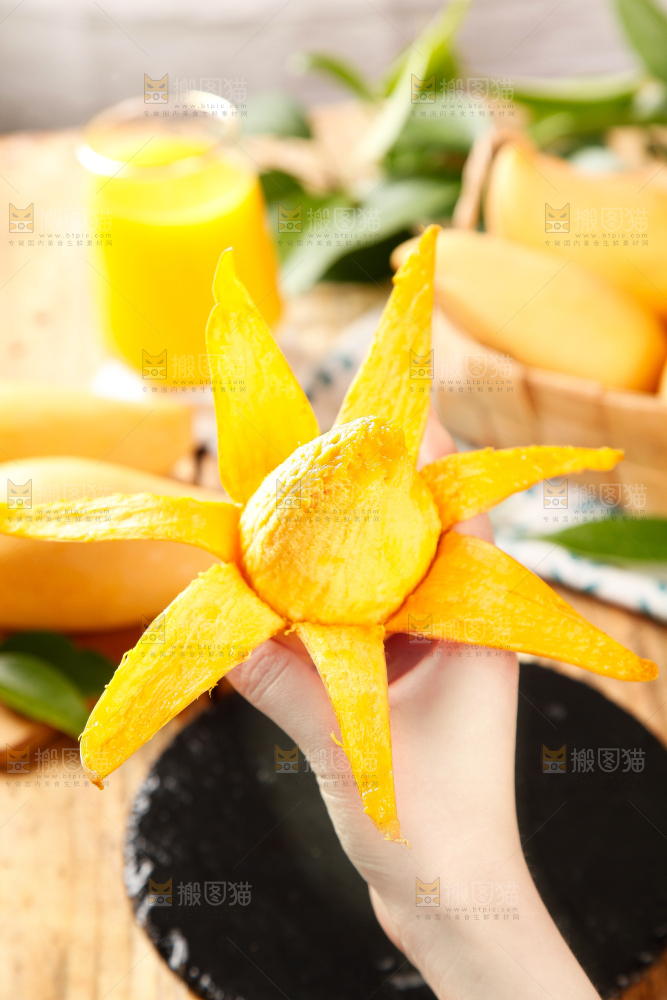 鹰嘴芒