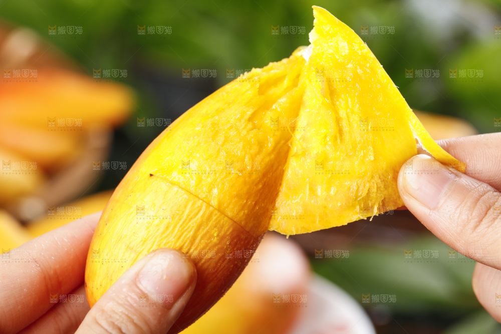 辣椒芒