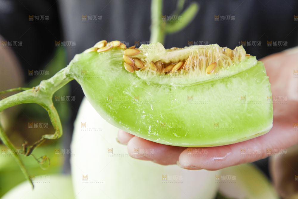 手里拿着新鲜玉菇香瓜