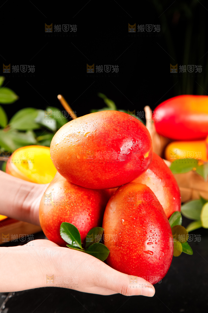 手里拿着吉禄芒果