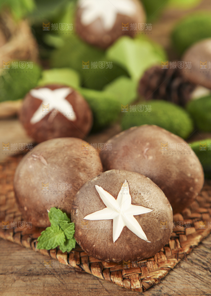 木底上摆放着新鲜香菇