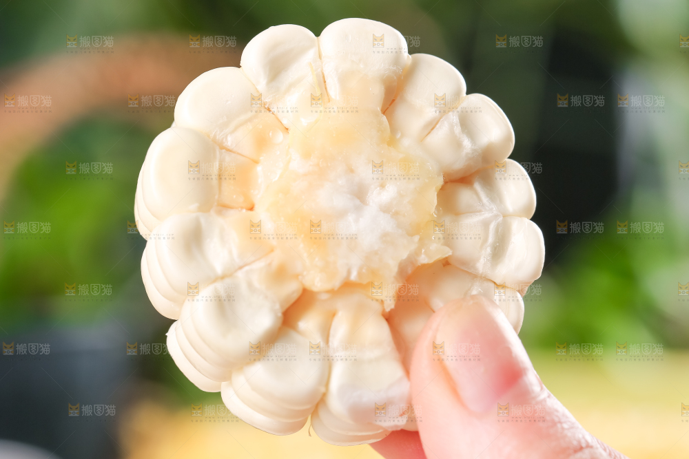 手里拿着牛奶玉米