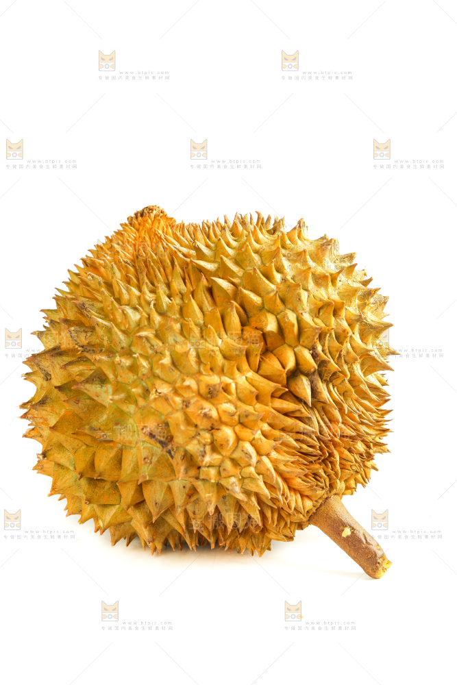 白底上摆放着进口榴莲