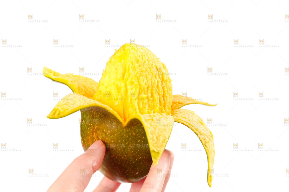 白底上的四川吉禄芒