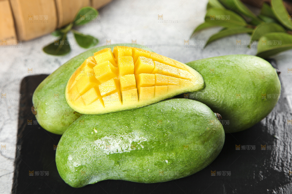 石板上的青皮桂七芒