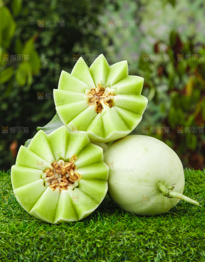 绿草地上摆放着玉菇甜瓜
