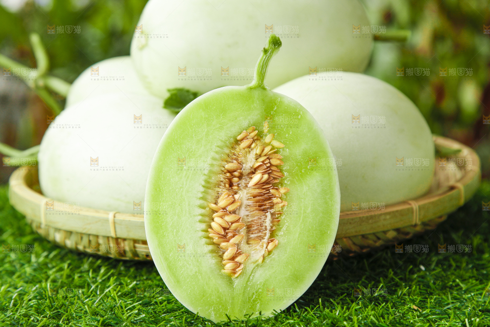 篮子里装着南汇玉菇甜瓜