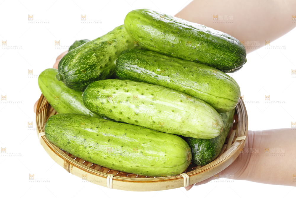 篮子里装着蔬菜黄瓜