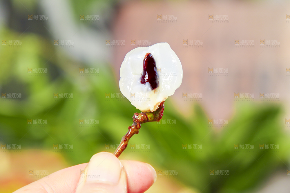 手里拿着妃子笑荔枝