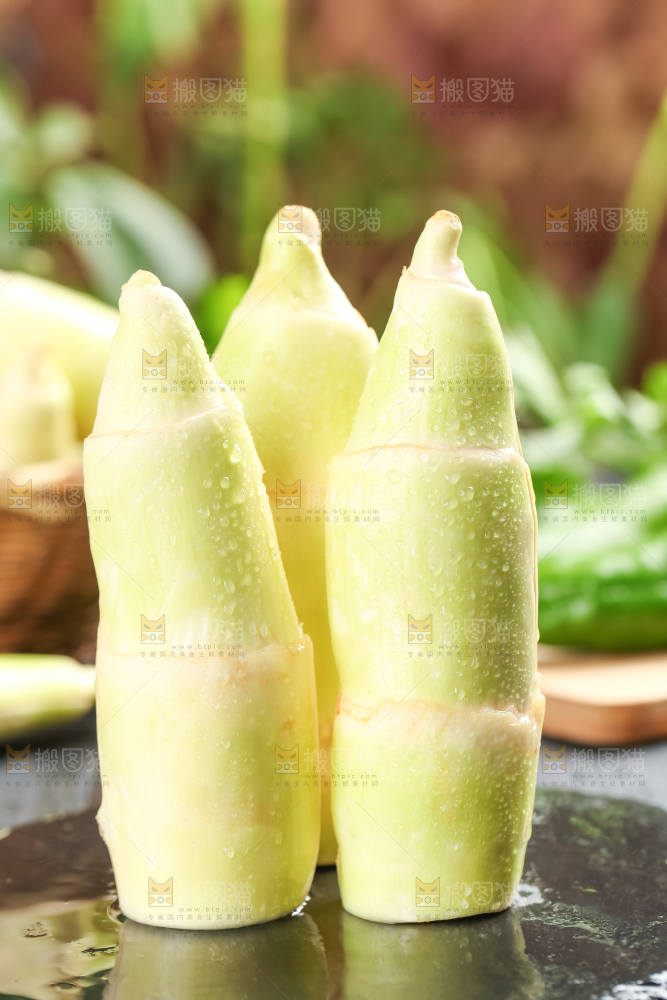 石板上的云南茭白