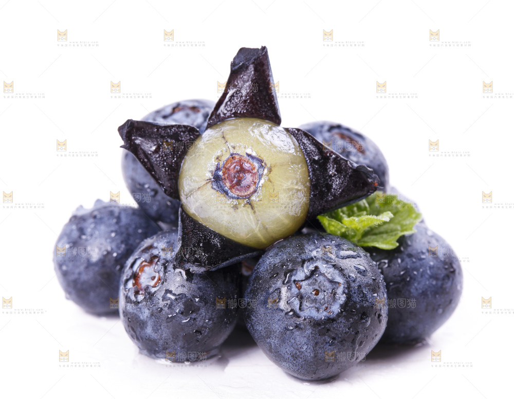 白底上摆放着进口蓝莓