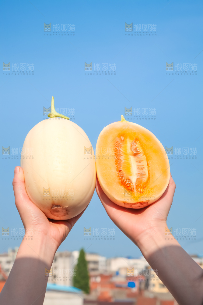 手里拿着东方蜜甜瓜