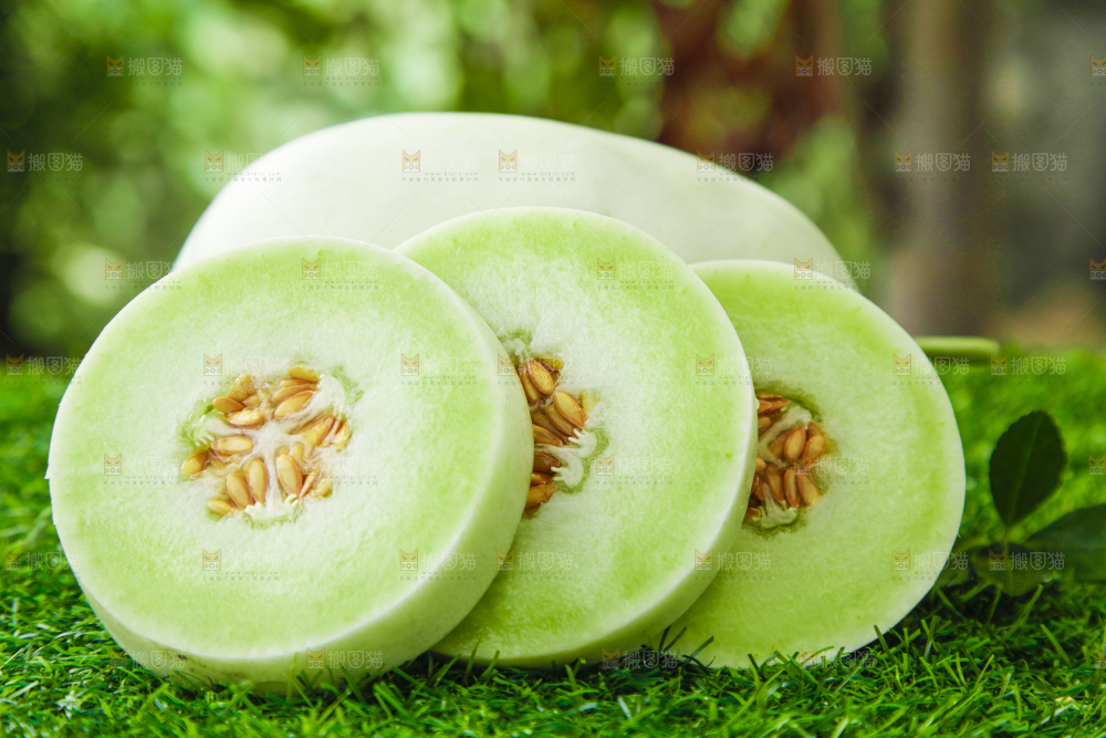 绿草地上摆放着玉菇甜瓜