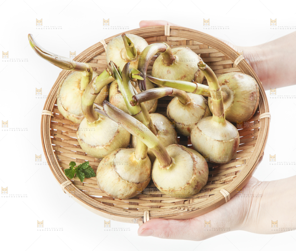 篮子里放着茨菇
