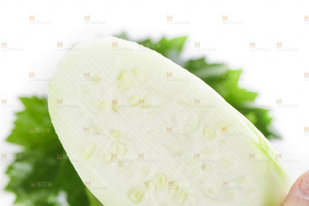 绿叶上放着切丝的蒲瓜