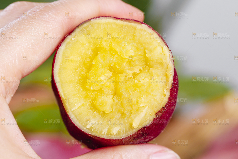 手里拿着红薯