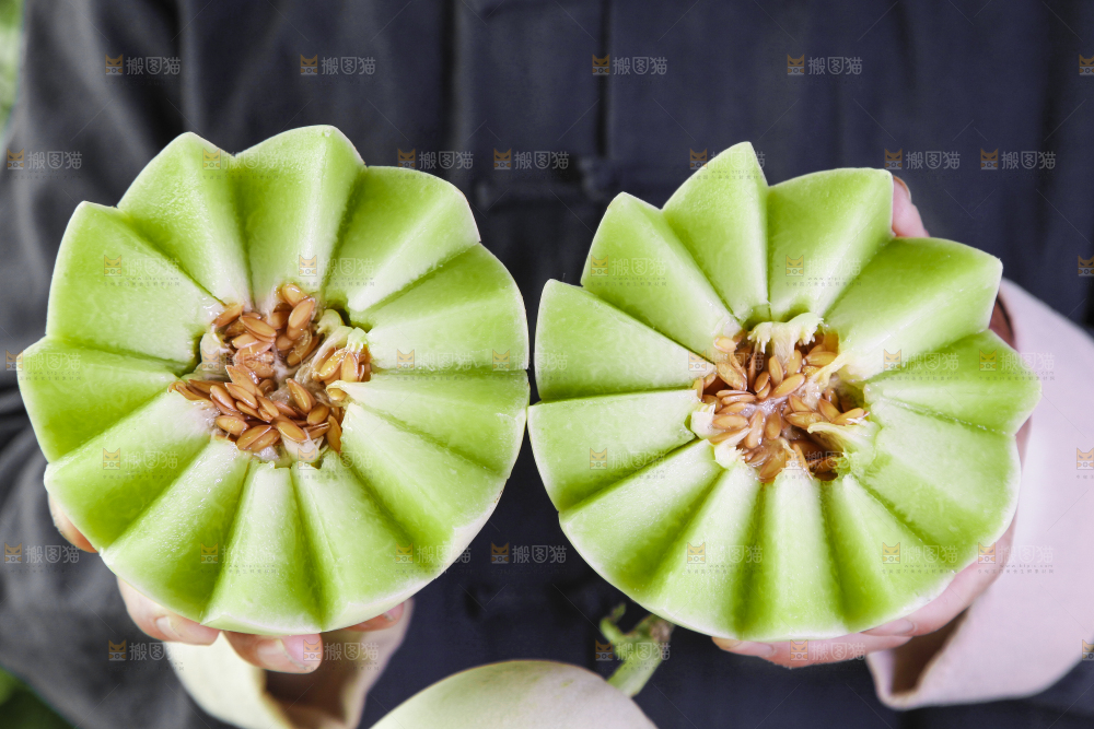 手里拿着新鲜玉菇香瓜