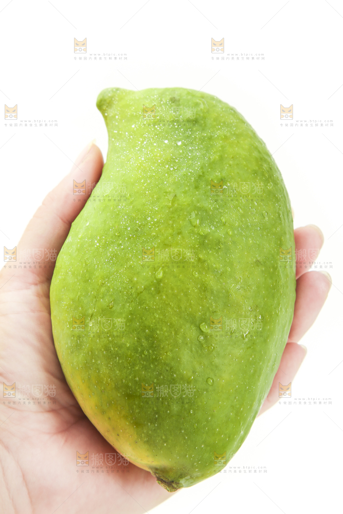 手里拿着鹰嘴芒