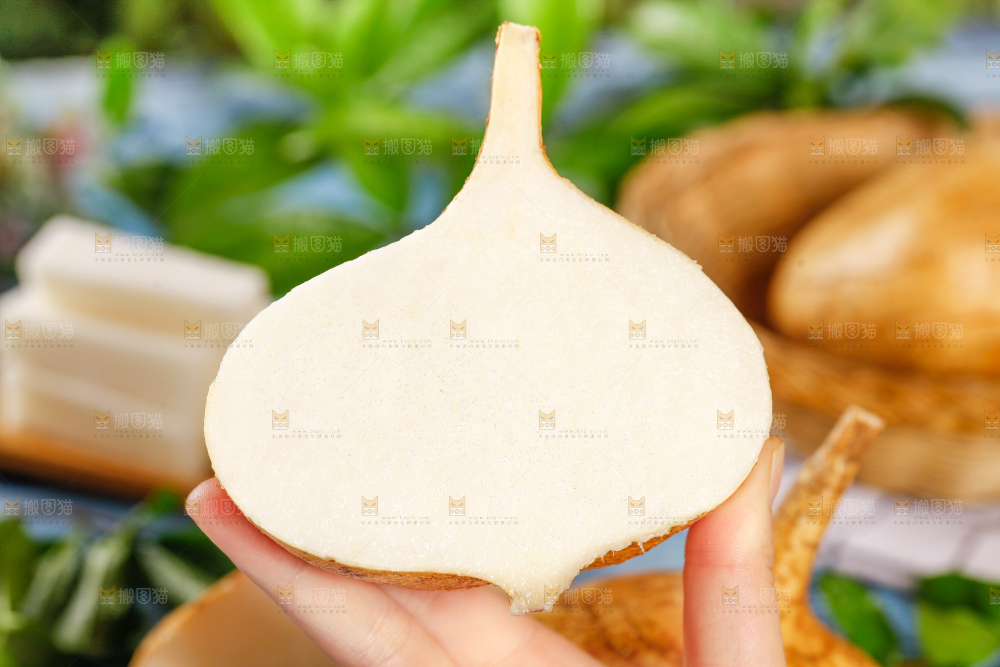 手里拿着凉薯