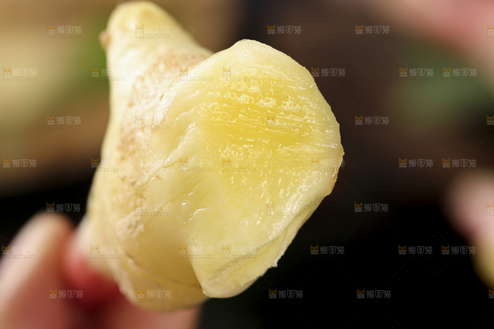 手里拿着红芽姜