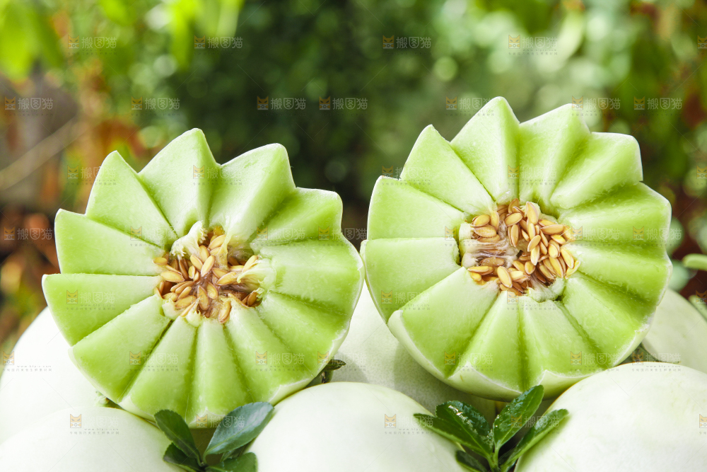 堆放着的玉菇甜瓜