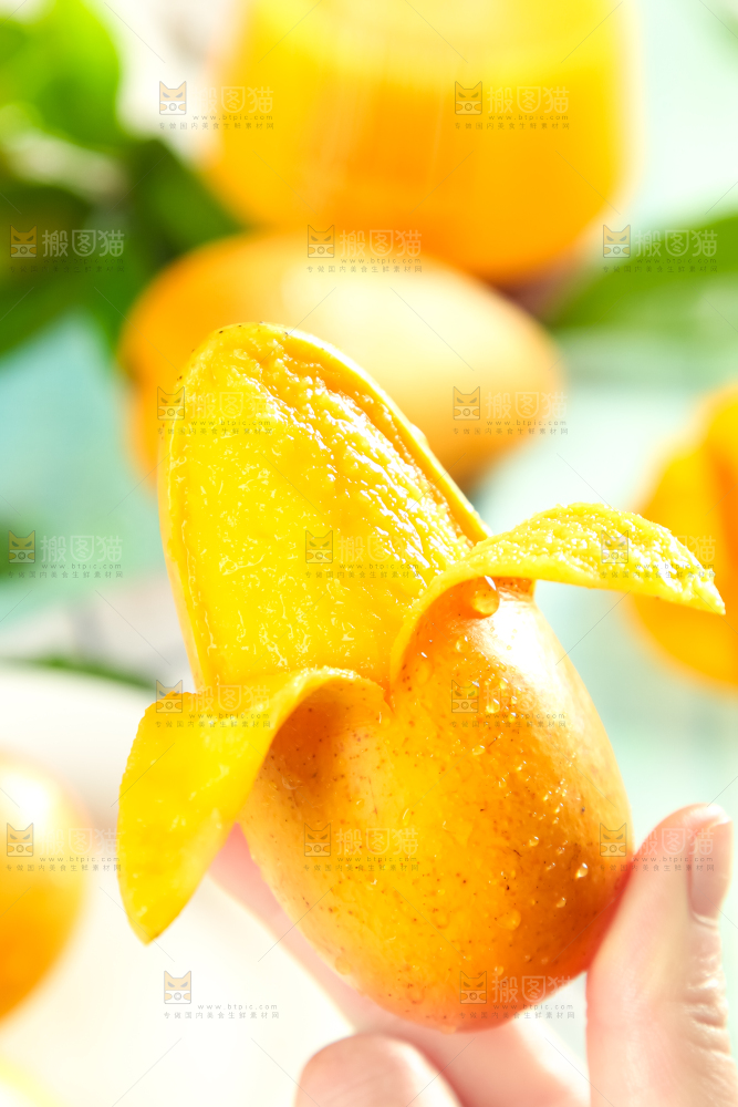 手里端着海南小台农芒果