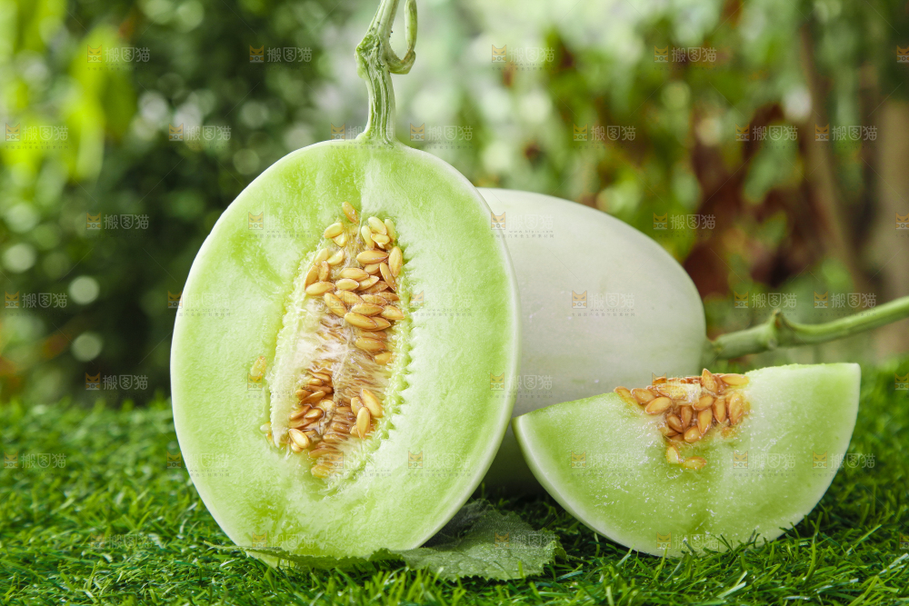 绿草地上摆放着玉菇甜瓜