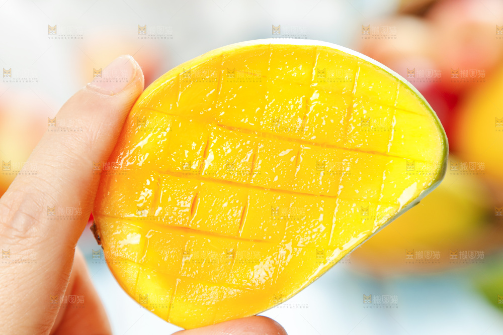 浅底上的海南小台农芒果