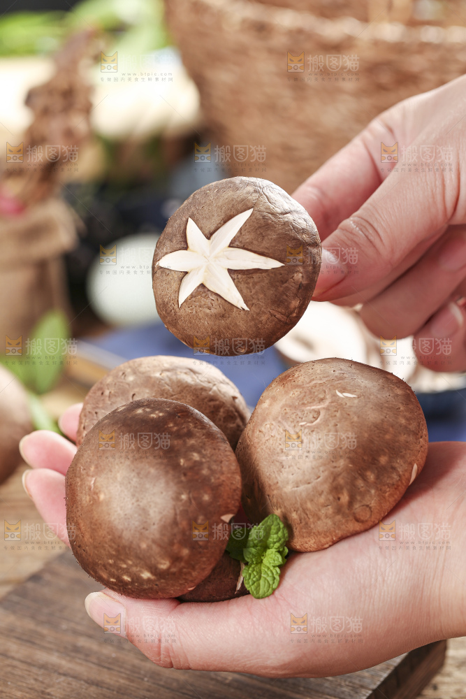 手里拿着菌菇