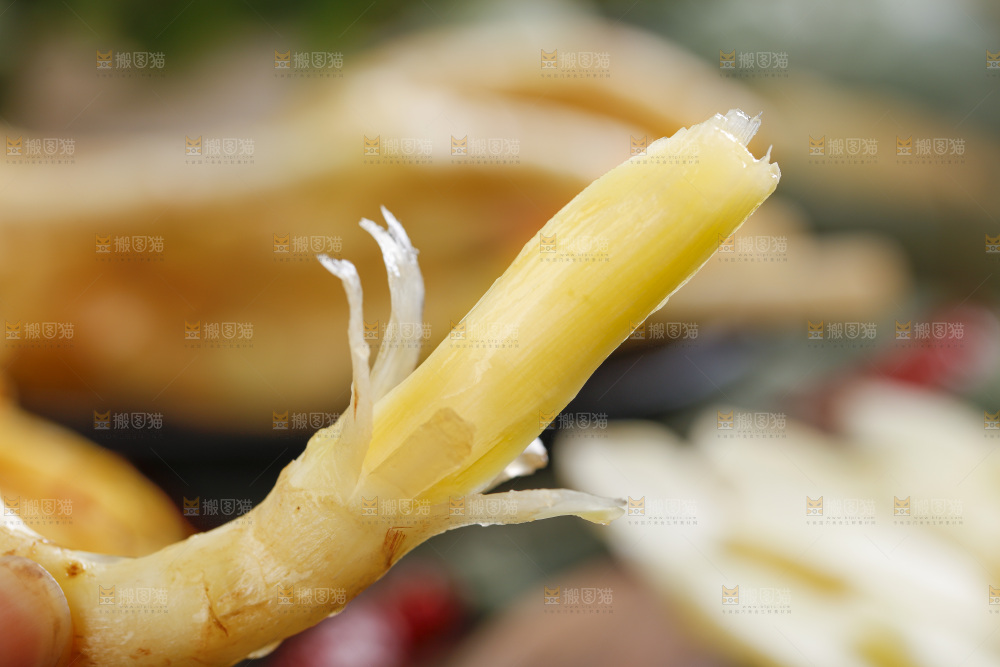 木板上放着山东嫩姜