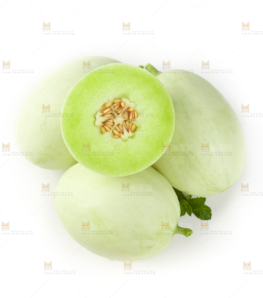 白底上摆放着南汇玉菇甜瓜