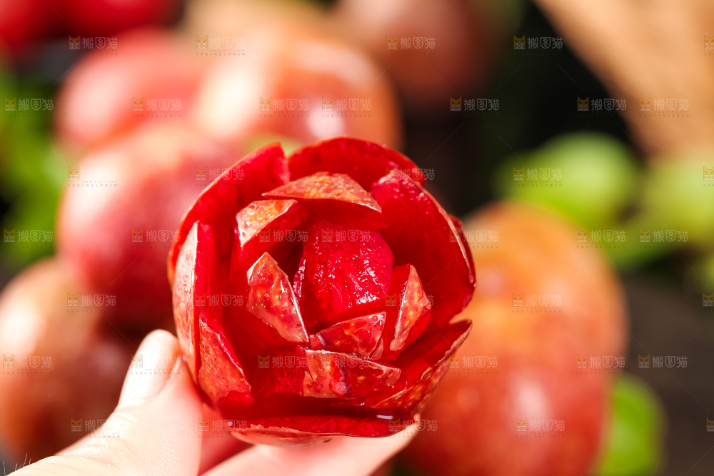 手里拿着红心李