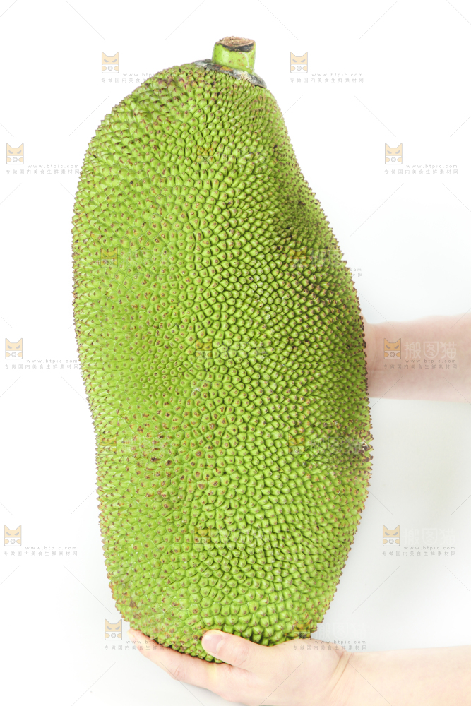 白底上放着菠萝蜜