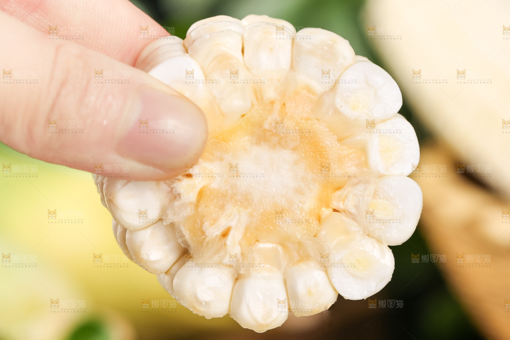 手里拿着甜玉米