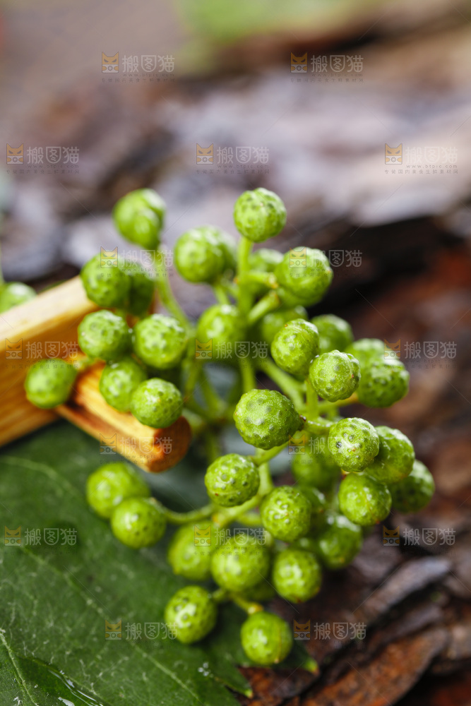 深底上的青花椒