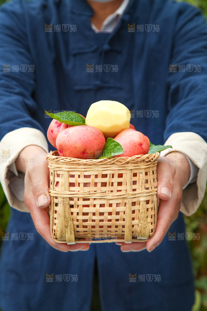 篮子里装着红皮土豆