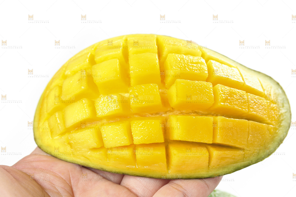 白底上的桂七香芒