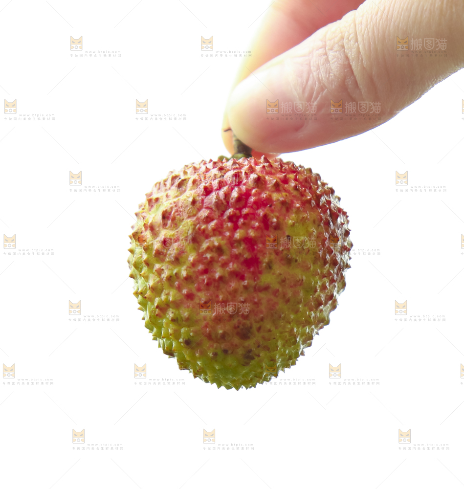 手里拿着妃子笑荔枝