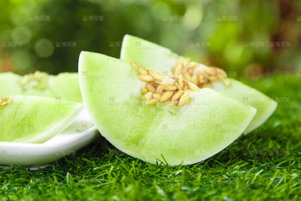 绿草地上摆放着玉菇甜瓜