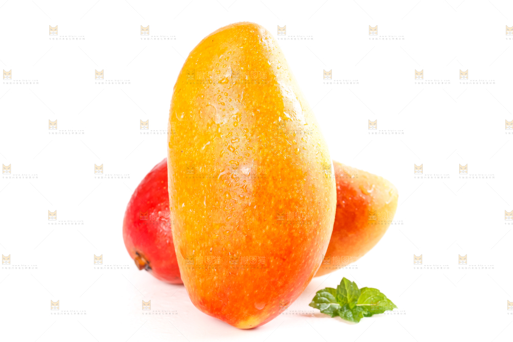 白底上摆放着海南贵妃芒