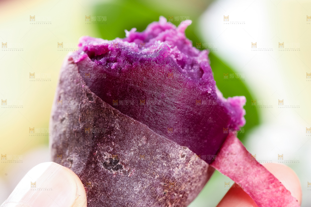 手里拿着紫薯
