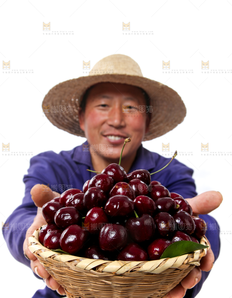 车厘子