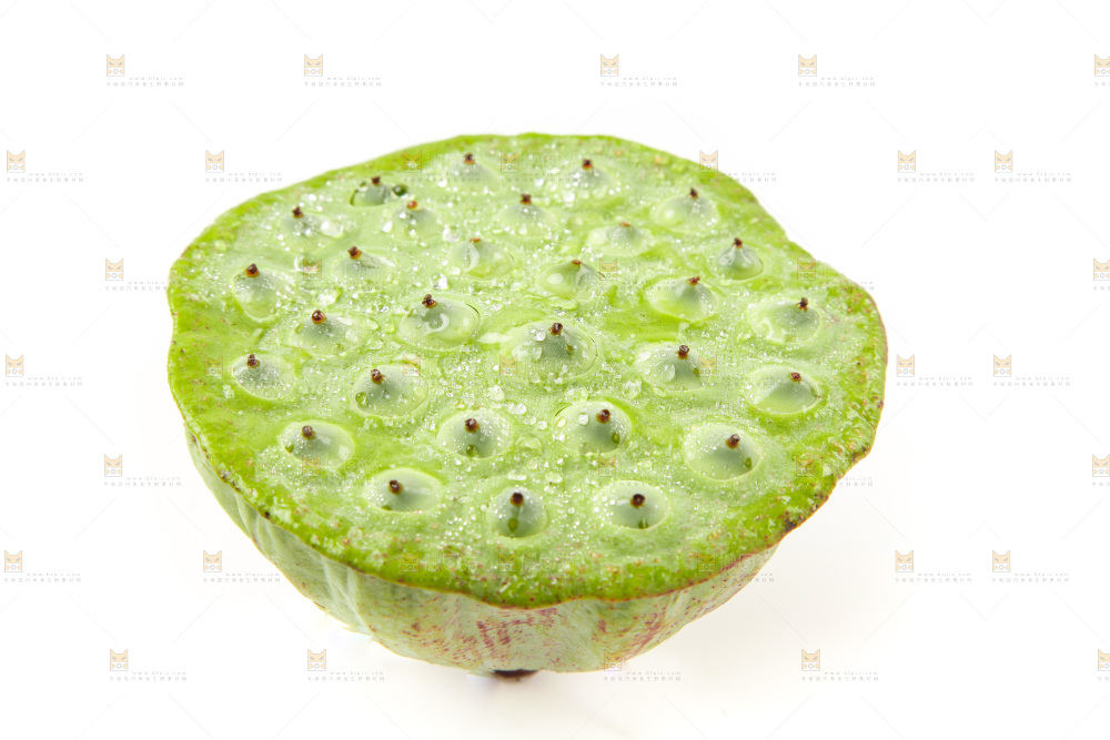 白底上的莲蓬