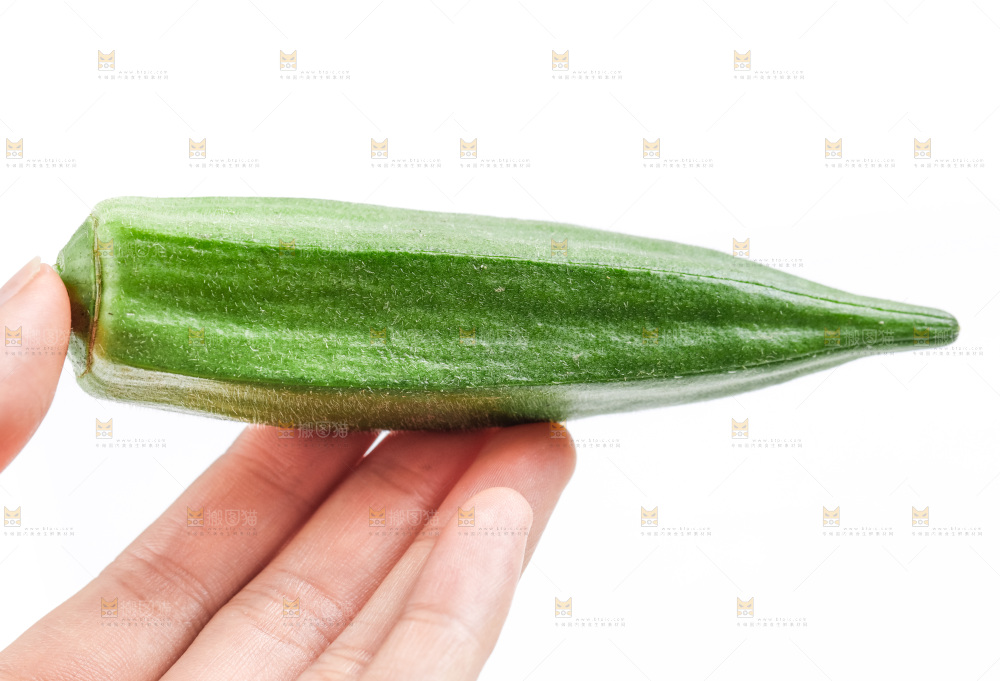 白底上的新鲜秋葵