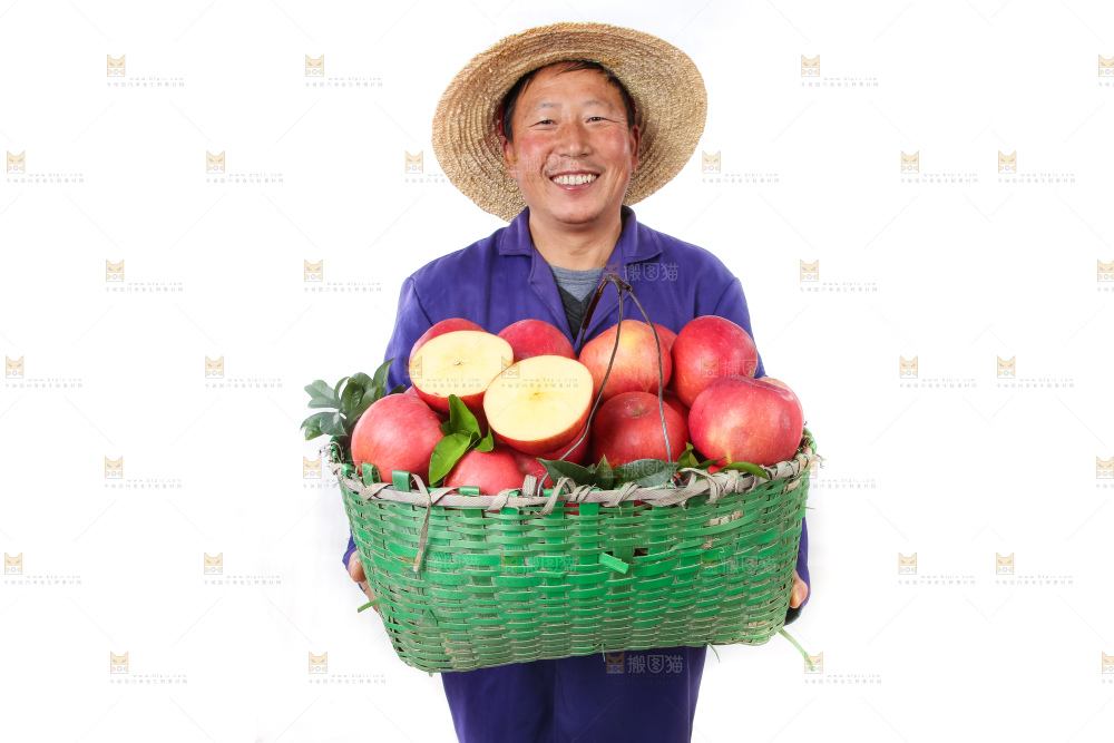 红富士苹果-人物