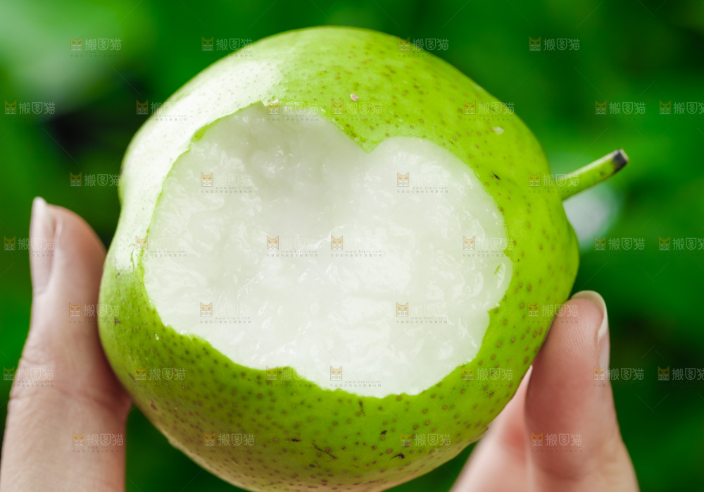 手拿早酥梨