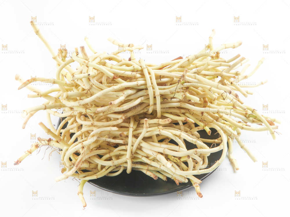 白底上的鱼腥草