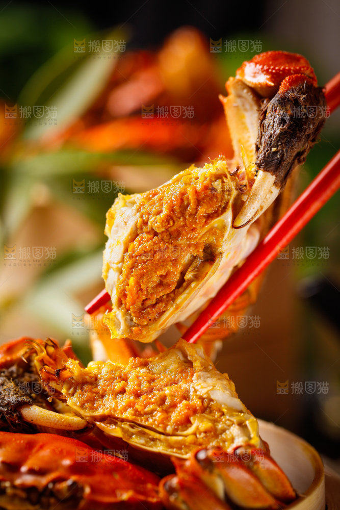 筷子上夹着清蒸螃蟹