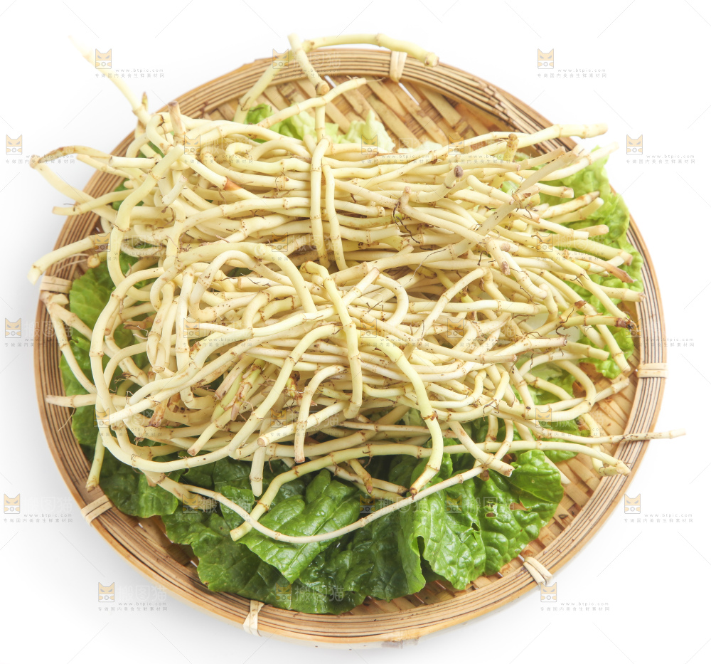 水果素材